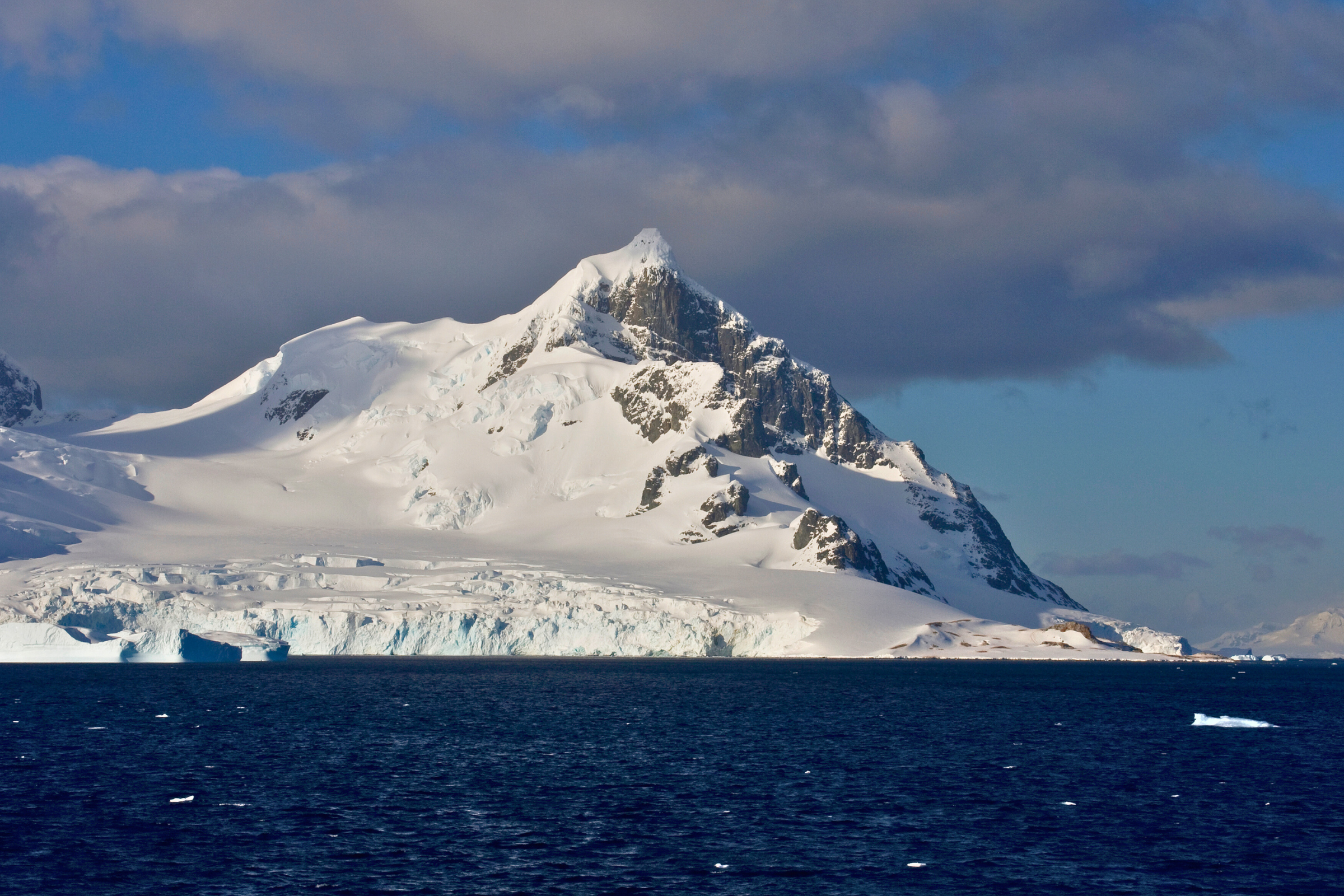 124 cuverville island.webp
